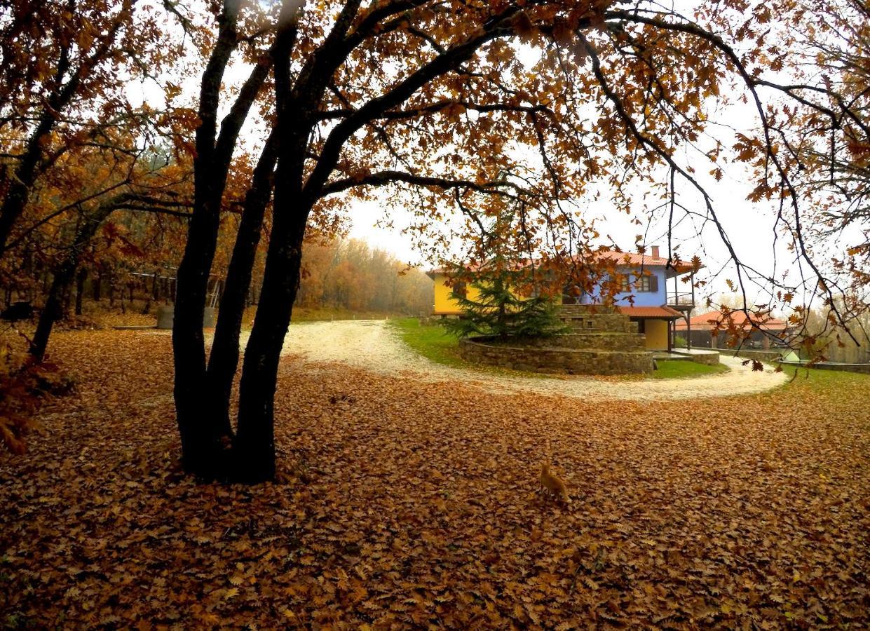 Agramada Bed & Breakfast Arnaia Exterior photo