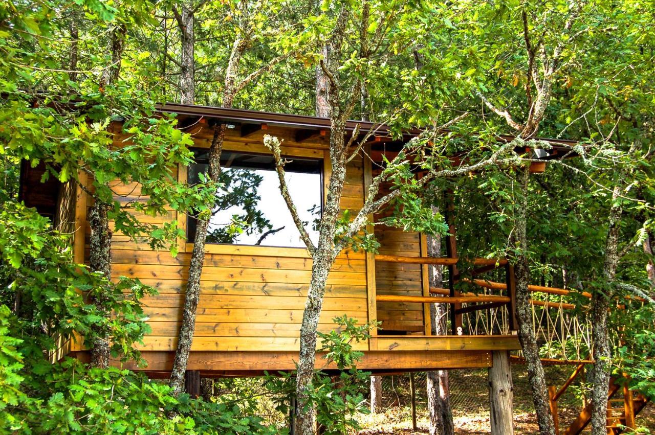 Agramada Bed & Breakfast Arnaia Exterior photo