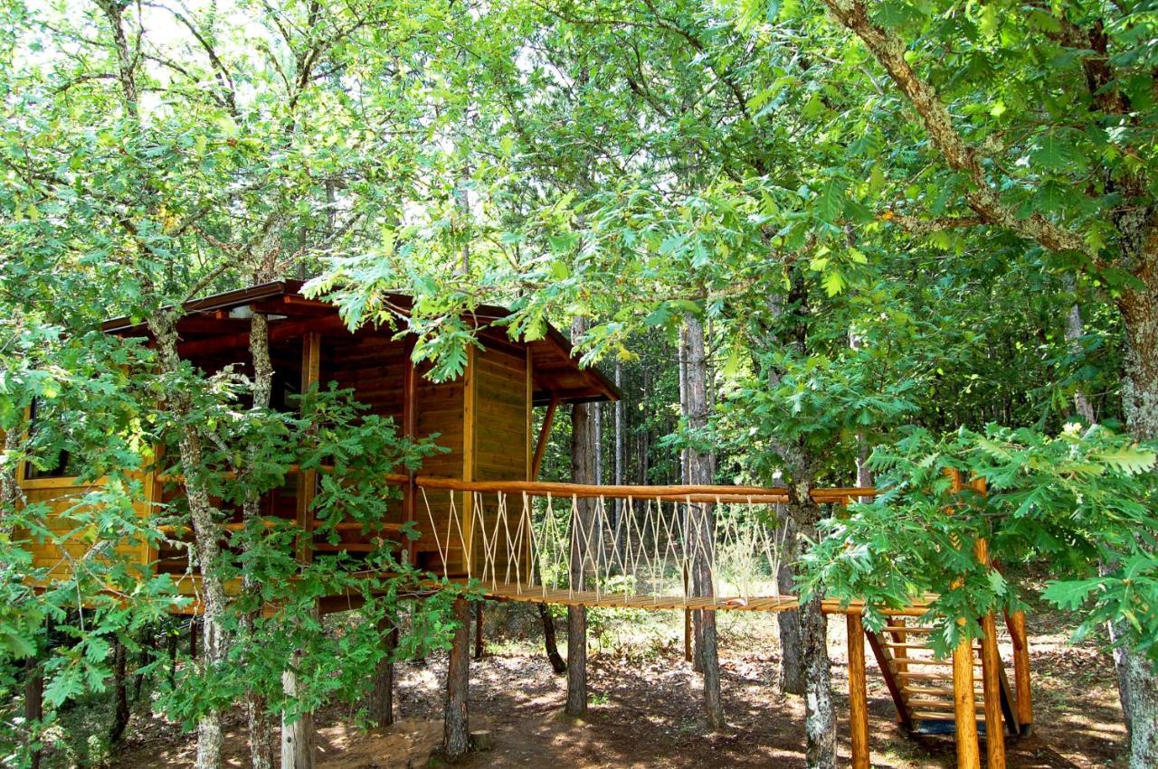 Agramada Bed & Breakfast Arnaia Exterior photo