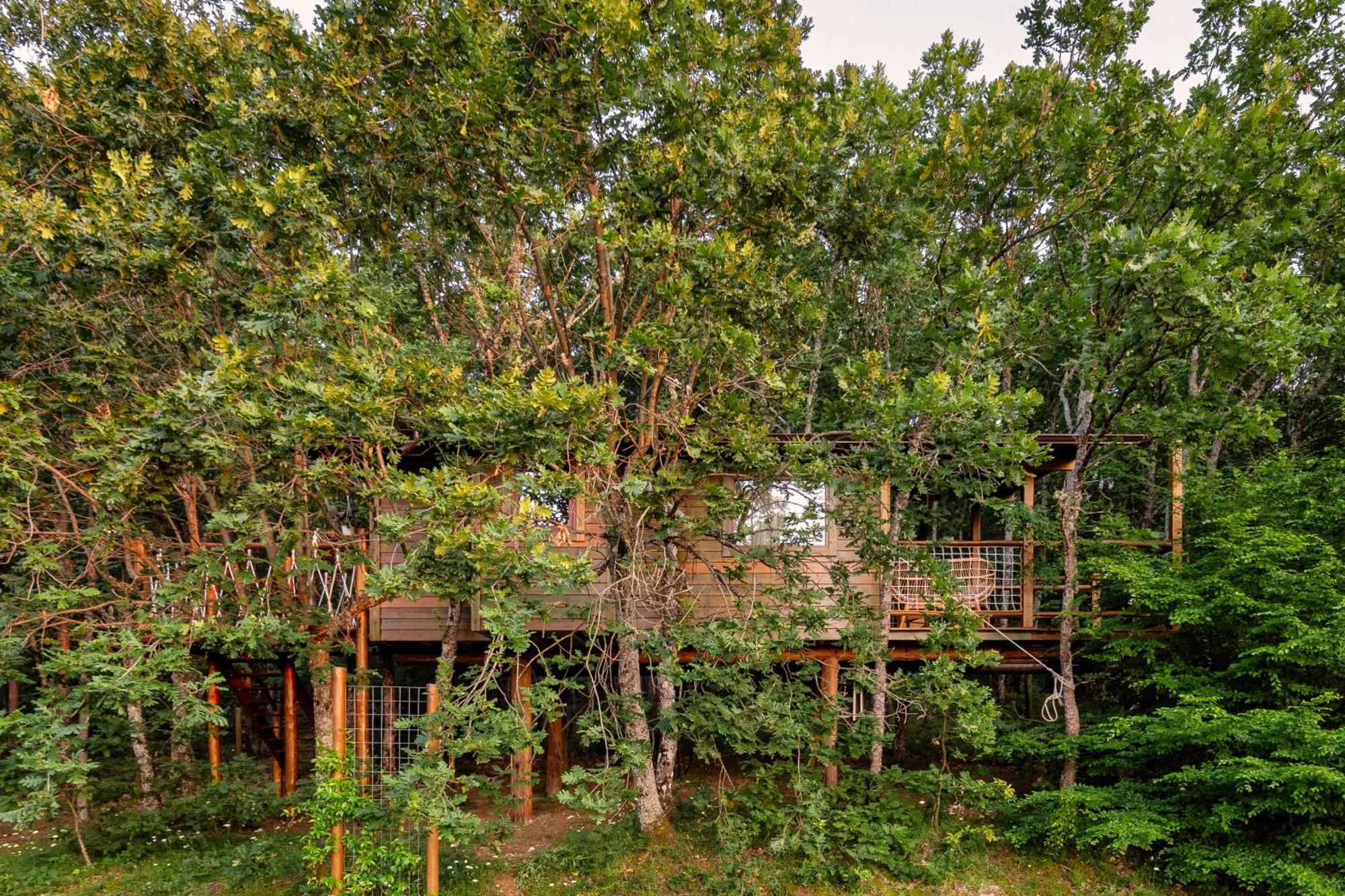 Agramada Bed & Breakfast Arnaia Exterior photo